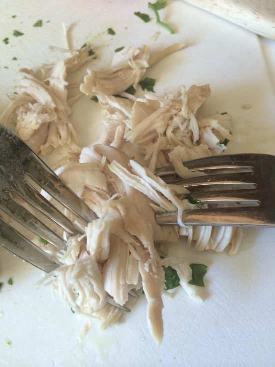 Two forks pulling a cooked chicken breast apart.