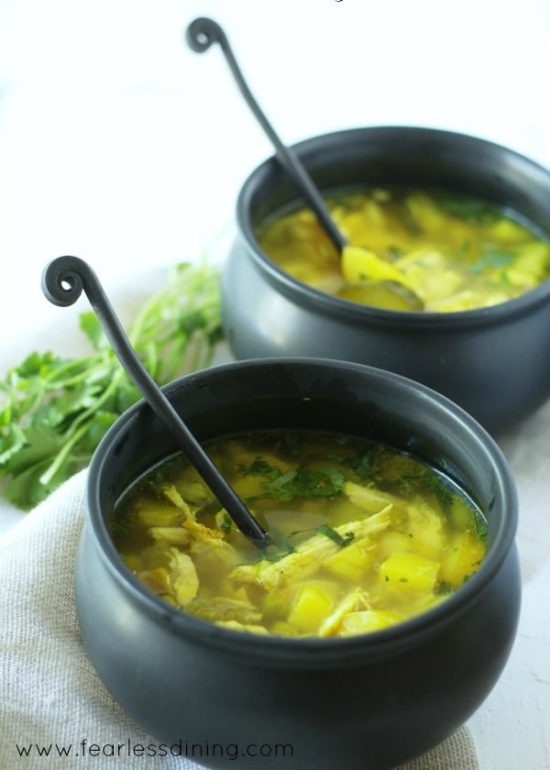 Chicken Tumeric Vegetabe Soup in two bowls. Cilantro is behind the bowls.