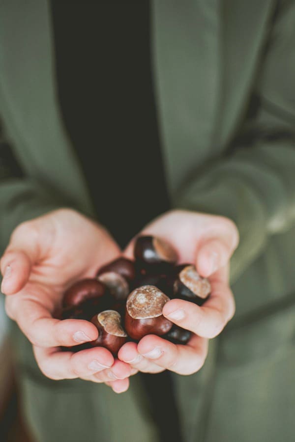 Two hands holding fresh chestnuts.