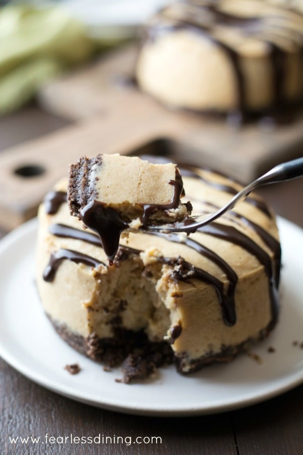 Gluten Free Peanut Butter Chocolate Mini Cheesecake with a fork taking out a bite.