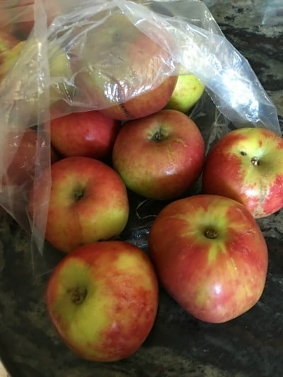 A bag full of gravenstein apples.