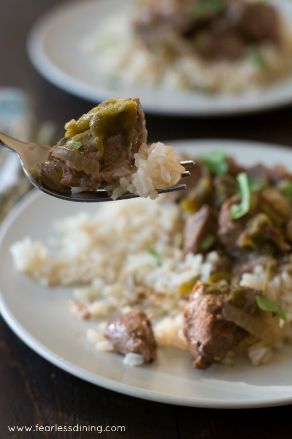 Lamb and Roasted Hatch Chile Pepper Stew on fork.