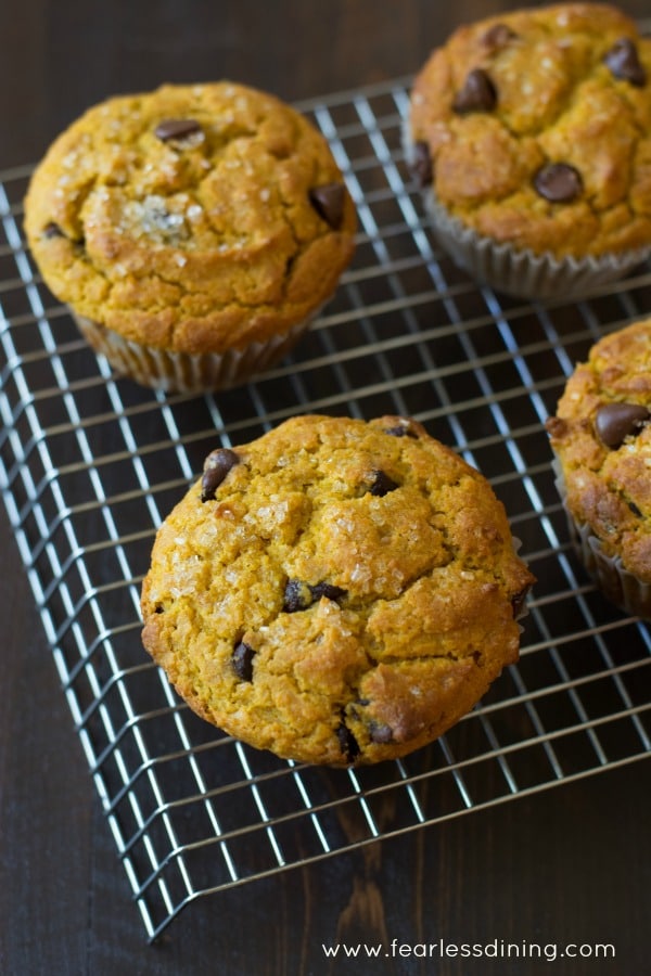 The top view of gluten free pumpkin muffins on a cooling rack.