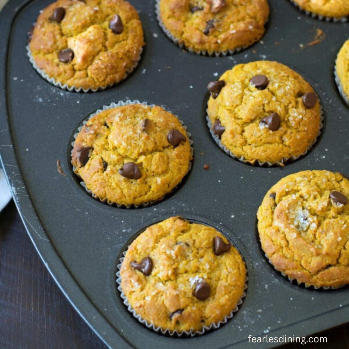 A close up of baked pumpkin chocolate chip muffins in a pan.