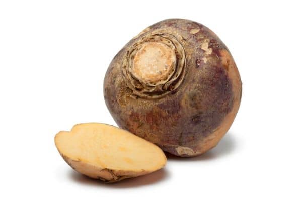 A photo of a rutabaga.