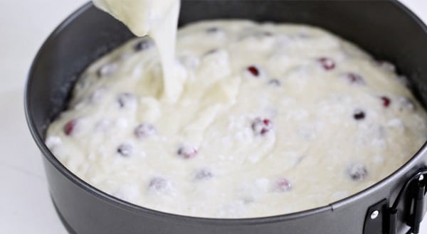 Pouring cake batter into the springform pan.