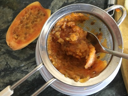 Pushing prickly pear fruit through a strainer to remove the seeds.