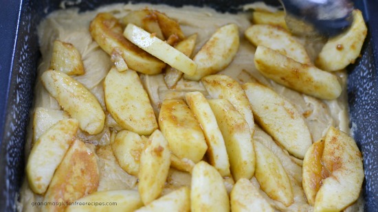 Apple slices on top of the cake batter in an 8x8 pan.