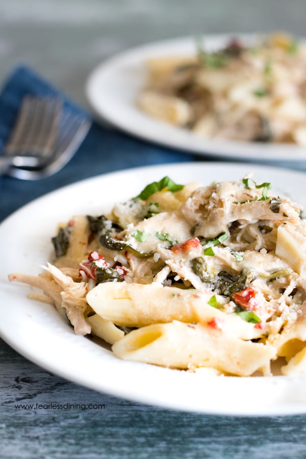 A close up of a plate of chicken garlic pasta.