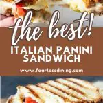 a pinterest collage of panini photos