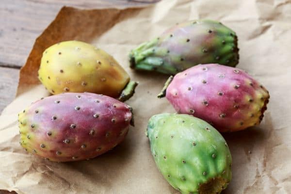 Some colorful prickly pear fruit on a paper bag.