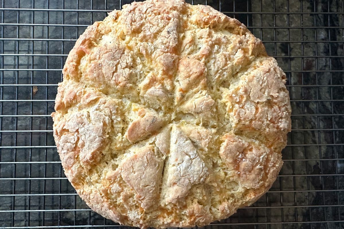 The baked scones before cutting them into wedges.