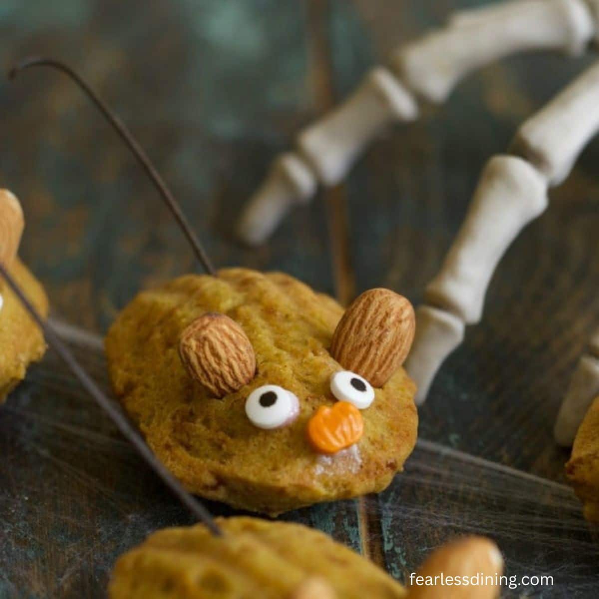 A close up of the pumpkin madeleine to show the face and ears.