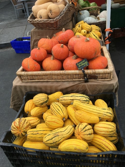 Bins of winter squash at the farmer's market.