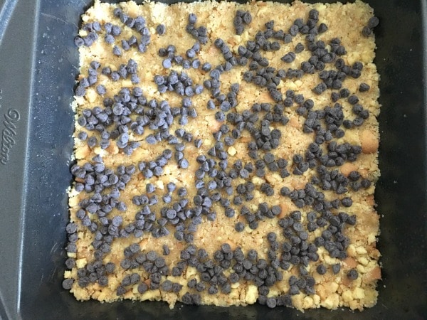 chocolate chip layer on top of the crust