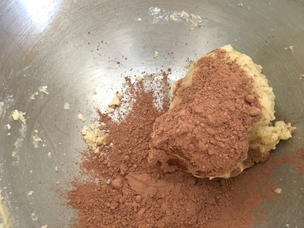 adding cocoa to the cookie dough