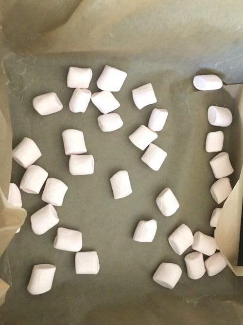 marshmallows on wax paper