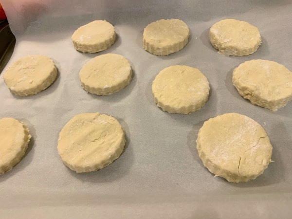 The dough cut into circles on a baking pan.