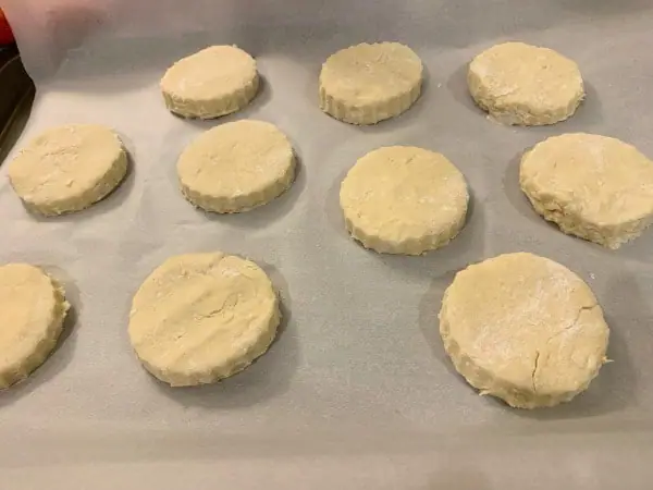 dough cut into circles