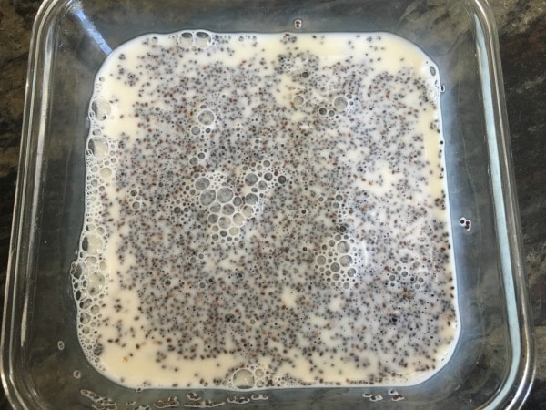 The non-dairy milk in the chia seeds.