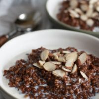 a close up shot of a bowl of choclate steel cut oats topped with slivered almonds