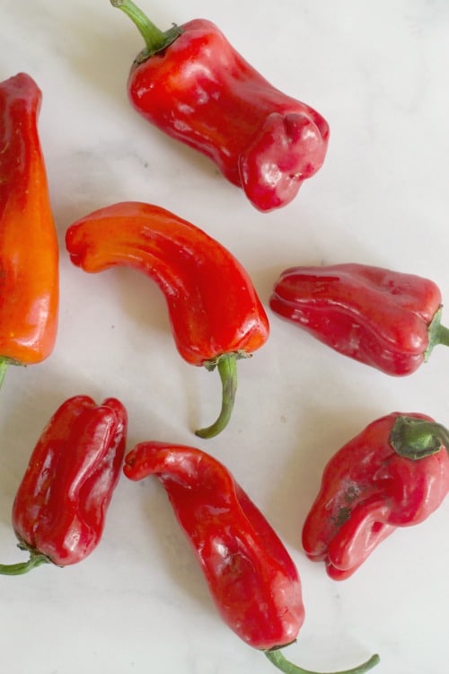 Italian Red Sweet Peppers on a cutting board.