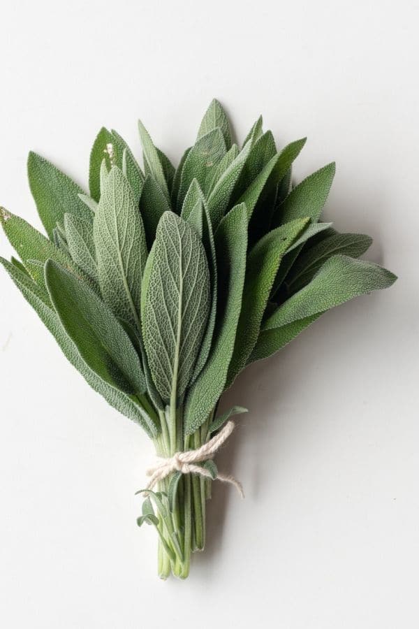 A bunch of sage leaves.