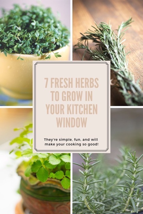 The Best Fresh Herbs to Grow Indoors In Your Kitchen Window