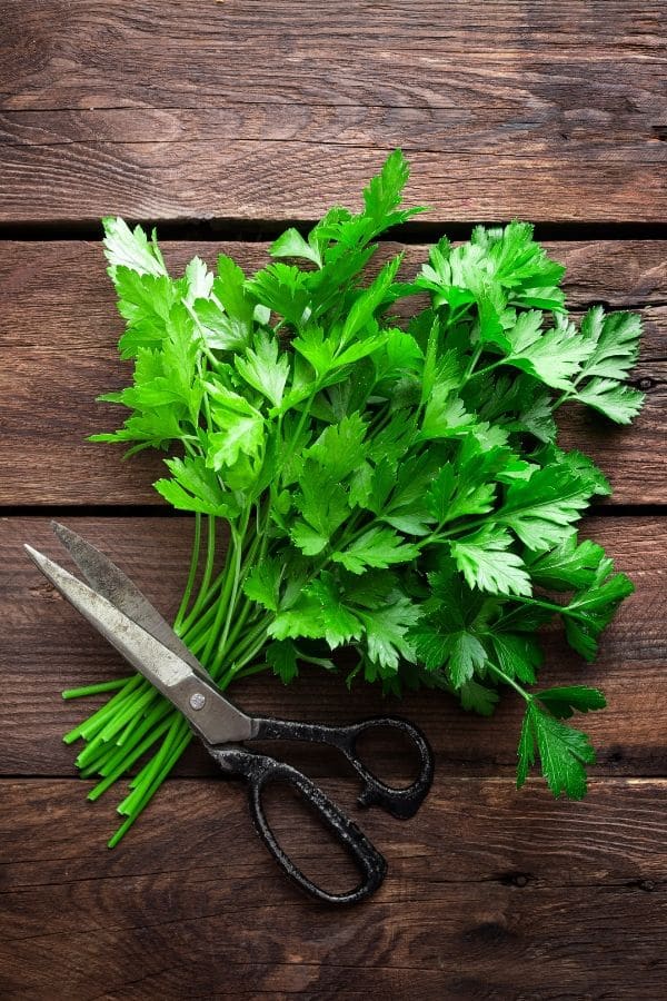 Fresh parsley on a cutting board.