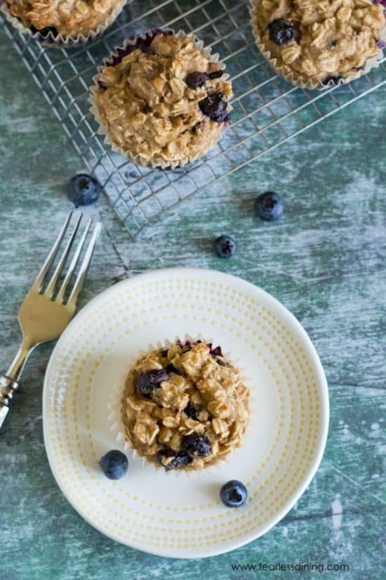 A gluten free oat muffin on a plate with blueberries.