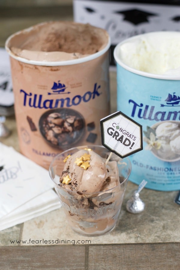 Tillamook chocolate mudslide and vanilla ice cream containers.