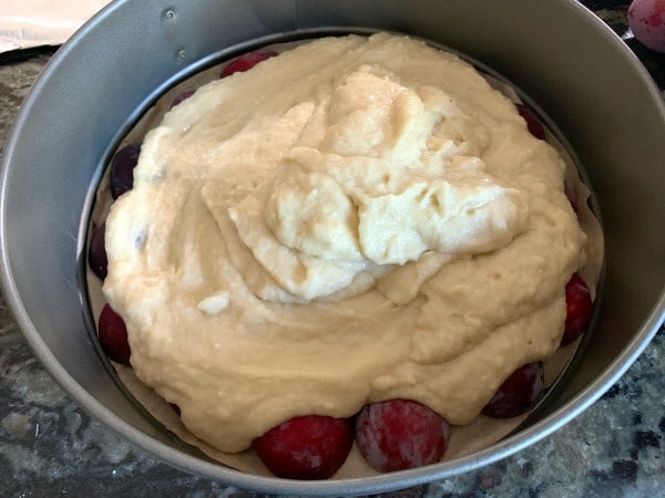cake batter over the plums in the springform pan