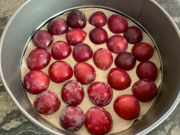plum halves on the bottom of a springform pan