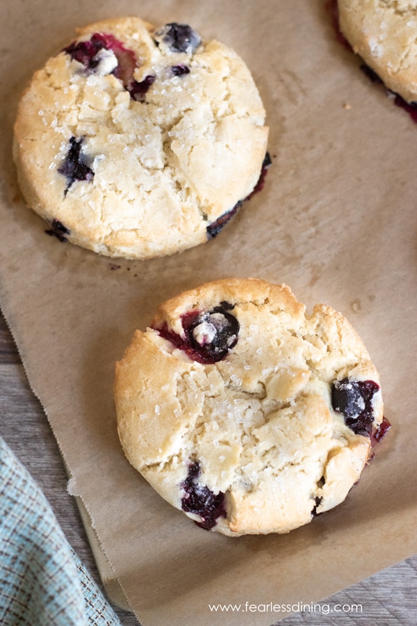 Bakes round blueberry scones on a baking sheet.