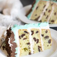 Gluten Free Mint Chocolate Chip Cake