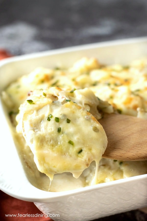 A spoon holding up some cheese and potato casserole.