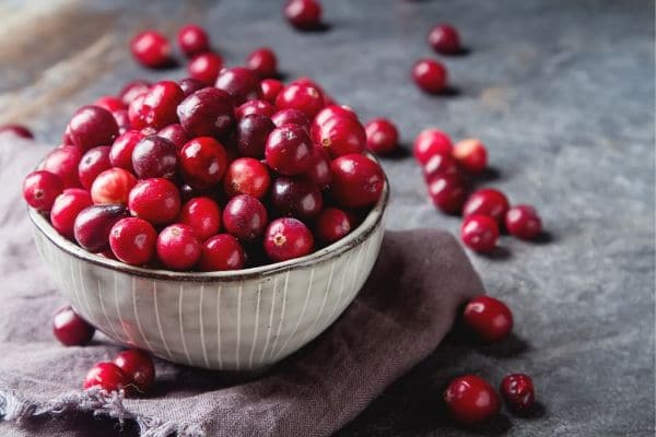a bowl overflowing with fresh cranberries