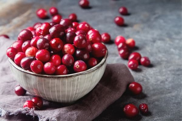 A bowl overflowing with fresh cranberries.