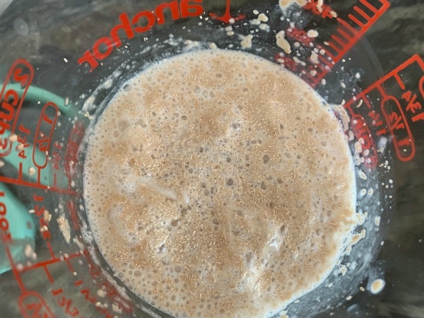 bubbling yeast in a bowl