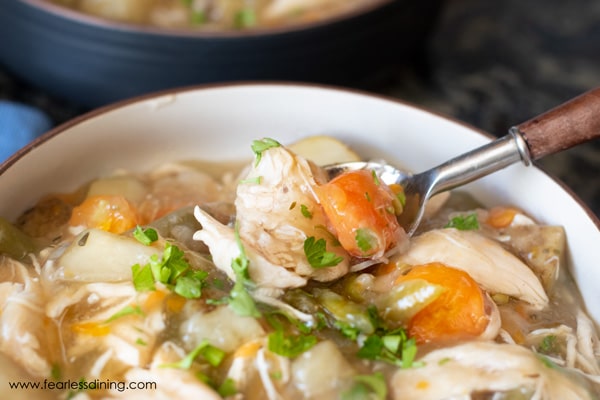 A spoon full of gluten free chicken stew.