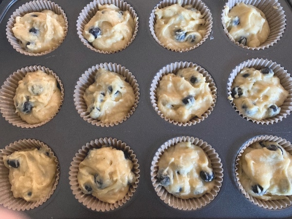 Muffin batter sitting in muffin cups, ready to bake.