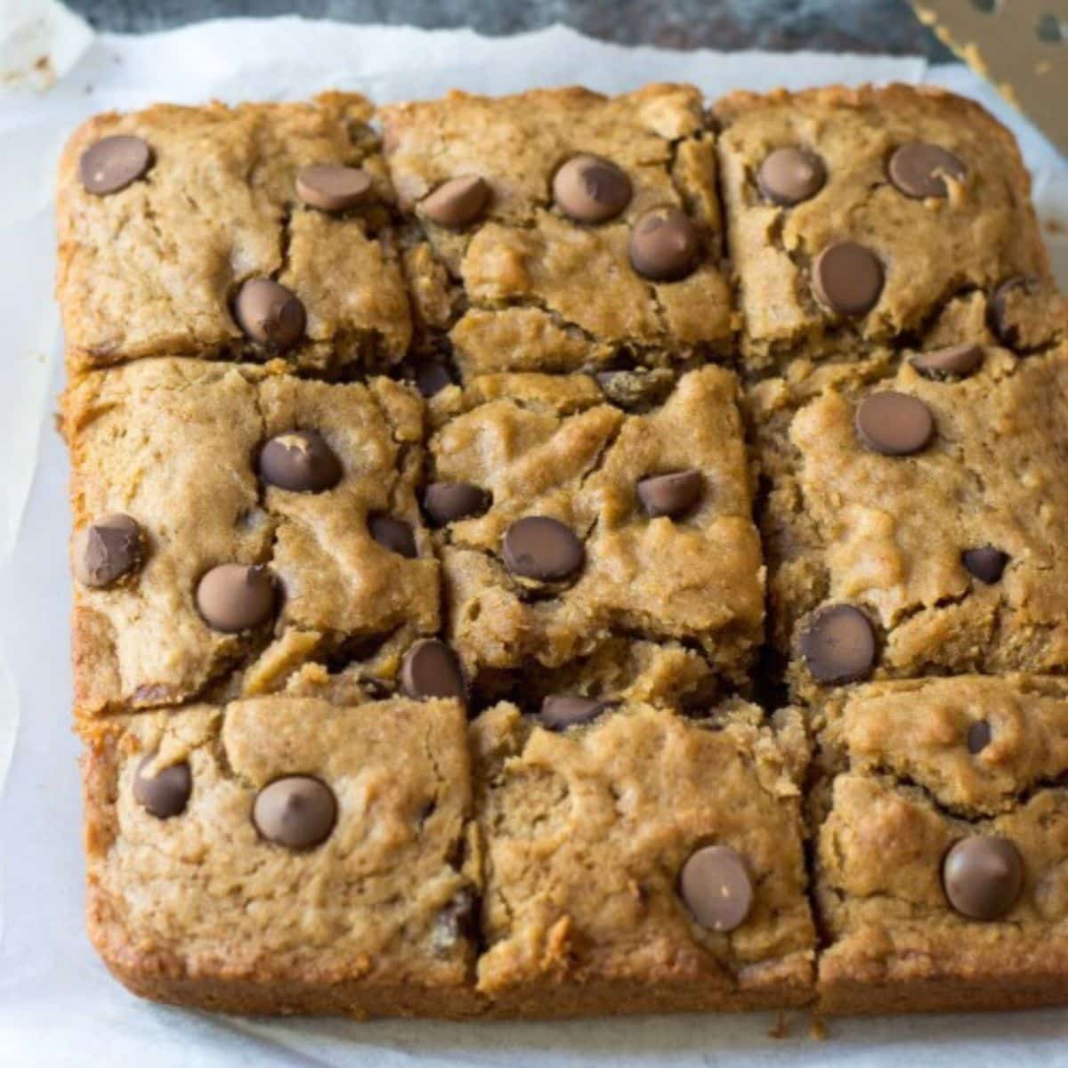 Baked gluten free banana bars with chocolate chips on a piece of parchment paper.