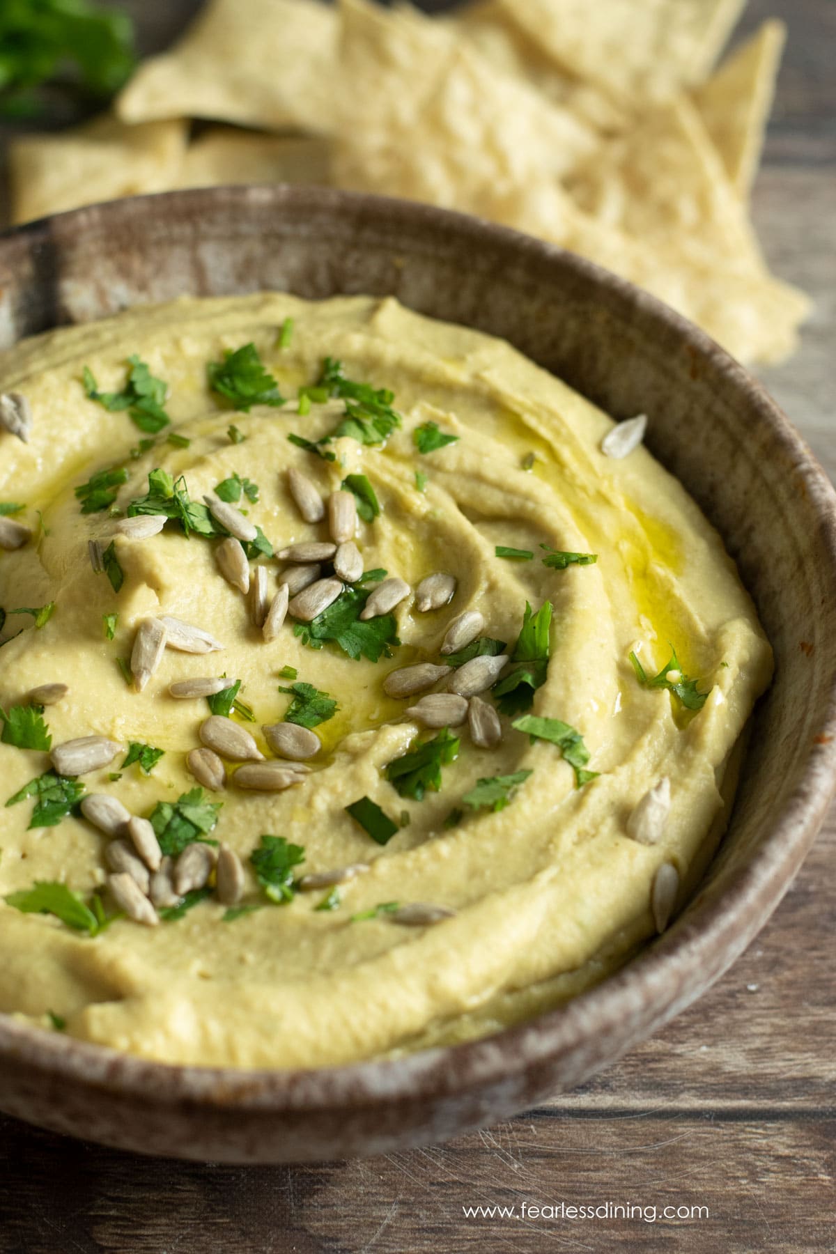 A close up of a pottery bowl filled with avocado salsa hummus. The hummus is garnished with cilantro and sunflower seeds.