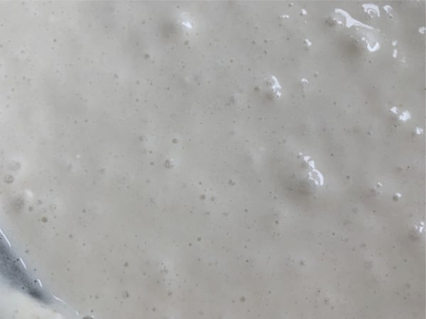 Bubbling sourdough starter in a big glass bowl.