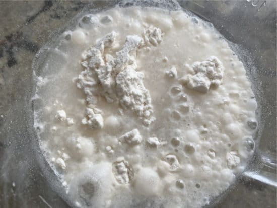 Yeast bubbling in a bowl.