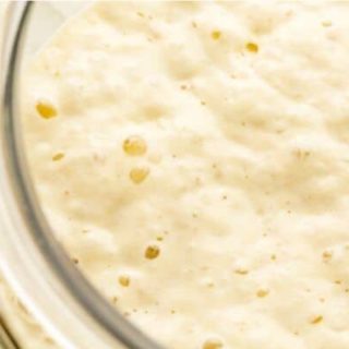 A close up of the bubbling sourdough starter.