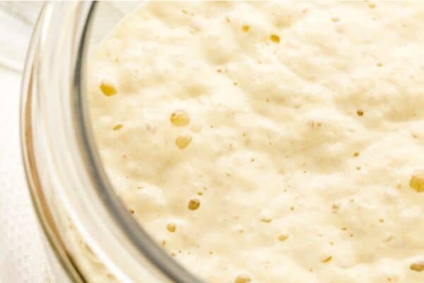 A close up of the bubbling sourdough starter.