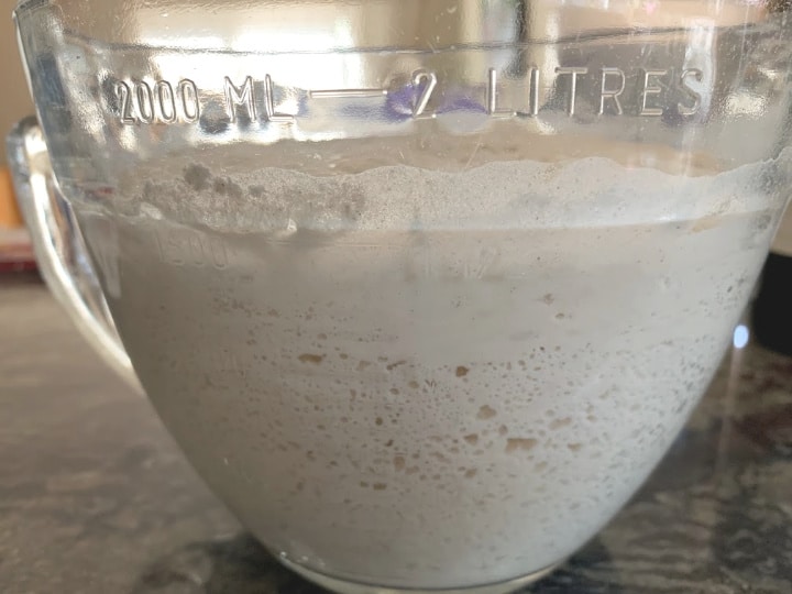 A bowl full of bubbling sourdough starter.