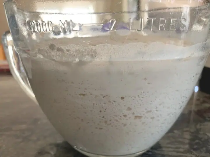 a glass bowl filled with sourdough bagel batter. It just finished an overnight rise and has tons of bubbles you can see through the glass