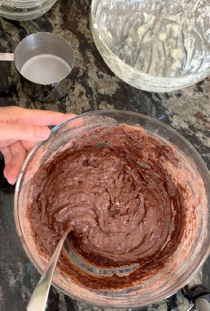The gluten free chocolate cake batter in a bowl.